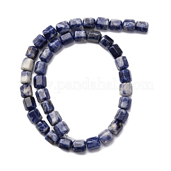 Natural Sodalite Beads Strands&nbsp;G-R015-A03