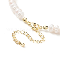 Natural Pearl Beaded Necklace with Brass Clasp for Women&nbsp;NJEW-JN04059