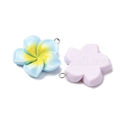Opaque Resin Pendants&nbsp;FIND-Z107-03P