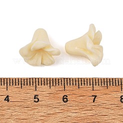 Dyed Synthetic Coral Beads&nbsp;X-GG-H001-01A-01