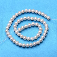 Natural Cultured Freshwater Pearl Beads Strands&nbsp;PEAR-E009-6-6.5mm