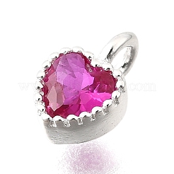 925 Sterling Silver Cubic Zirconia Charms&nbsp;STER-Q005-01A-B