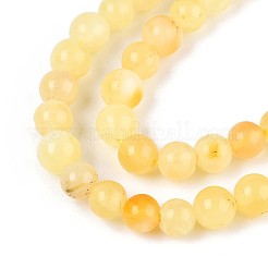 Natural Yellow Amber Beads Strands&nbsp;G-N351-04A-01