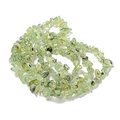 Natural Prehnite Beads Strands&nbsp;X-G-P332-41A
