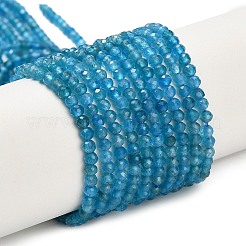 Natural Apatite Beads Strands&nbsp;G-Z106-A01-2mm