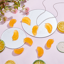 16Pcs Resin Pendants&nbsp;RESI-ME0001-07