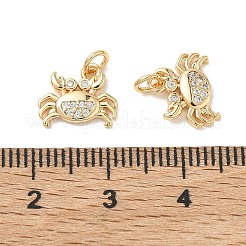 SHEGRACE Brass Micro Pave Cubic Zirconia Pendants&nbsp;XGRQ3D017-456G