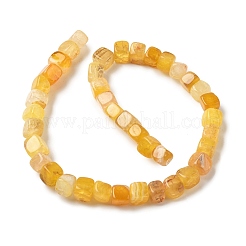 Natural Dragon Veins Agate Beads Strands&nbsp;G-G177-E08-05