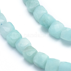 Natural Amazonite Beads Strands&nbsp;G-D0003-B11