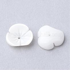 Natural Sea Shell Beads&nbsp;SSHEL-S250-20