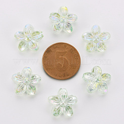 Transparent Acrylic Beads&nbsp;TACR-S154-45C-327