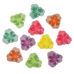 12Pcs 6 Colors 430 Stainless Steel Bead Caps&nbsp;STAS-CJ0002-54