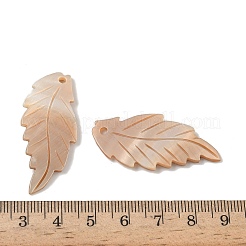 Natural Freshwater Shell Carved Pendants&nbsp;SHEL-K006-54C