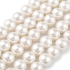 Shell Pearl Bead Strands&nbsp;X-BSHE-L026-03-8mm