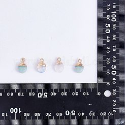 10Pcs 10 Styles Electroplate Natural & Synthetic Gemstone Charms&nbsp;G-SZ0002-15