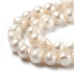 Natural Cultured Freshwater Pearl Beads Strands&nbsp;PEAR-L033-28-01