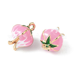 Brass Enamel Charms&nbsp;X-KK-G462-30LG