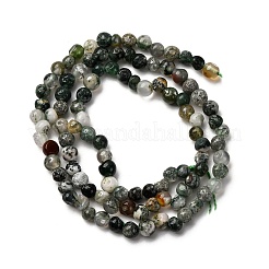 Natural Moss Agate Beads Strands&nbsp;G-I389-A40