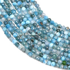 Natural Apatite Beads Strands&nbsp;G-RM250104-A2