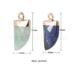 10Pcs 10 Style Natural Gemstone Pendants&nbsp;G-LS0002-14