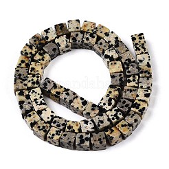 Natural Dalmatian Jasper Beads Strands&nbsp;G-T139-6x6-17A