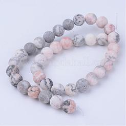 Natural Zebra Jasper Beads Strands&nbsp;G-Q462-8mm-03
