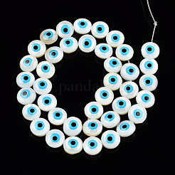 Natural Sea Shell Beads Strands&nbsp;SSHEL-Q296-36