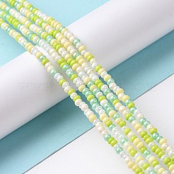 Glass Seed Bead Strands&nbsp;LAMP-B021-04B