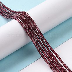 Natural Garnet Beads Strands&nbsp;X-G-P457-B01-22-A