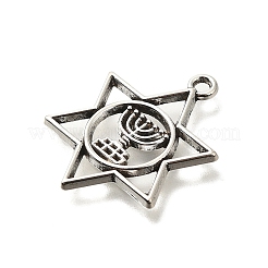 Tibetan Style Alloy Pendants&nbsp;FIND-G078-14AS