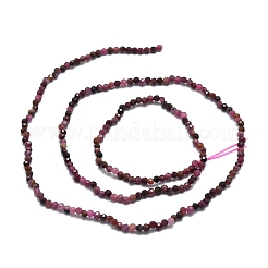 Natural Ruby Beads Strands&nbsp;G-E576-63A