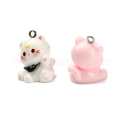 Opaque Resin Pendants&nbsp;RESI-G116-03