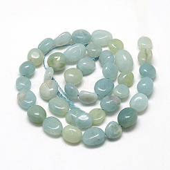 Natural Amazonite Beads Strands&nbsp;X-G-R445-8x10-21