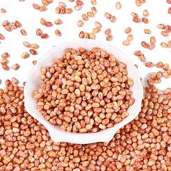 Picasso Glass Seed Beads&nbsp;SEED-N012-10C
