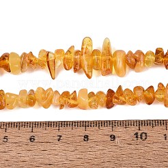 Natural Amber Beads Strands&nbsp;G-N371-13A-01
