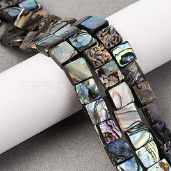 Natural Paua Shell Beads Strands&nbsp;BSHE-ZX006-07D