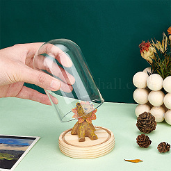Glass Dome Cover&nbsp;AJEW-WH0307-71