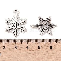 Mixed Vintage Tibetan Style Alloy Snowflake Pendants&nbsp;TIBEP-X0017-AS-RS