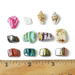 198G 11 Styles Natural Mixed Shell Beads Sets&nbsp;BSHE-FS0001-05