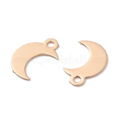 Long-Lasting Plated Brass Charms&nbsp;KK-K336-02KCG