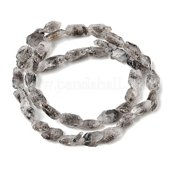 Natural Herkimer Diamond Beads Strands&nbsp;GG-CBA8084-06