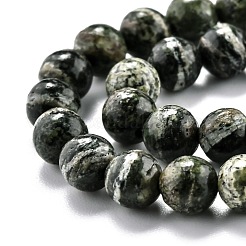 Natural Green Zebra Jasper Beads Strands&nbsp;G-O199-05A