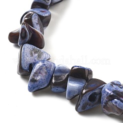 Dyed Natural Trochus Shell Beads Strands&nbsp;BSHE-Z006-01C