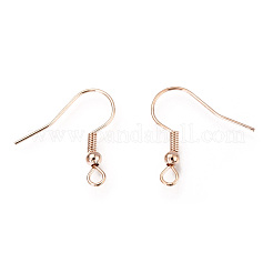 Iron Earring Hooks&nbsp;X-IFIN-EC135-RG