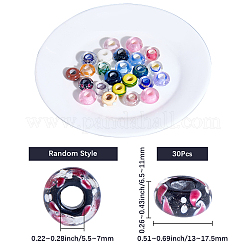 30Pcs Handmade Lampwork European Beads&nbsp;LAMP-SC0001-74