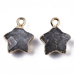 Natural Labradorite Pendants&nbsp;G-N326-36B