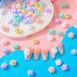 120Pcs 6 Colors Opaque Resin Cabochons&nbsp;CRES-TA0001-28