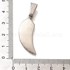 304 Stainless Steel Pendants&nbsp;STAS-Z110-18AS