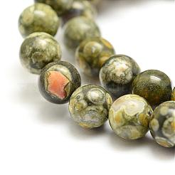 Natural Rhyolite Jasper Bead Strands&nbsp;G-G684-01-6mm