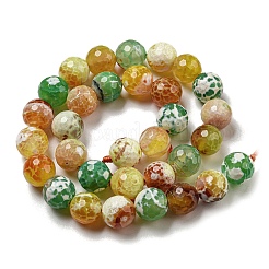Faceted Natural Fire Crackle Agate Beads Strands&nbsp;G-F447-12mm-M01